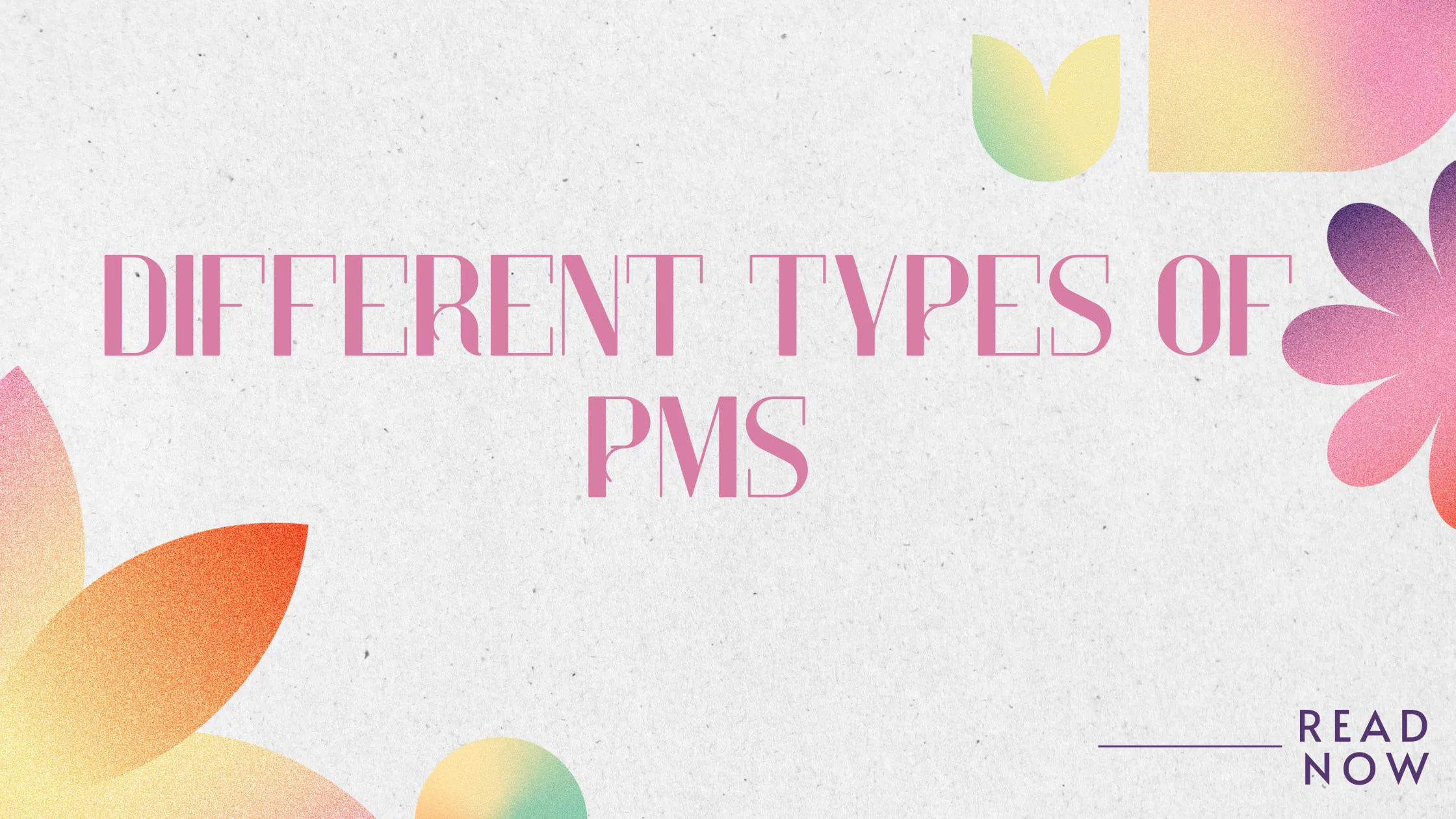 Graphic reading “Different Types of PMS”